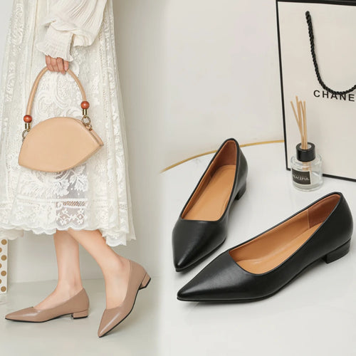 The Elegance Pointed Heels