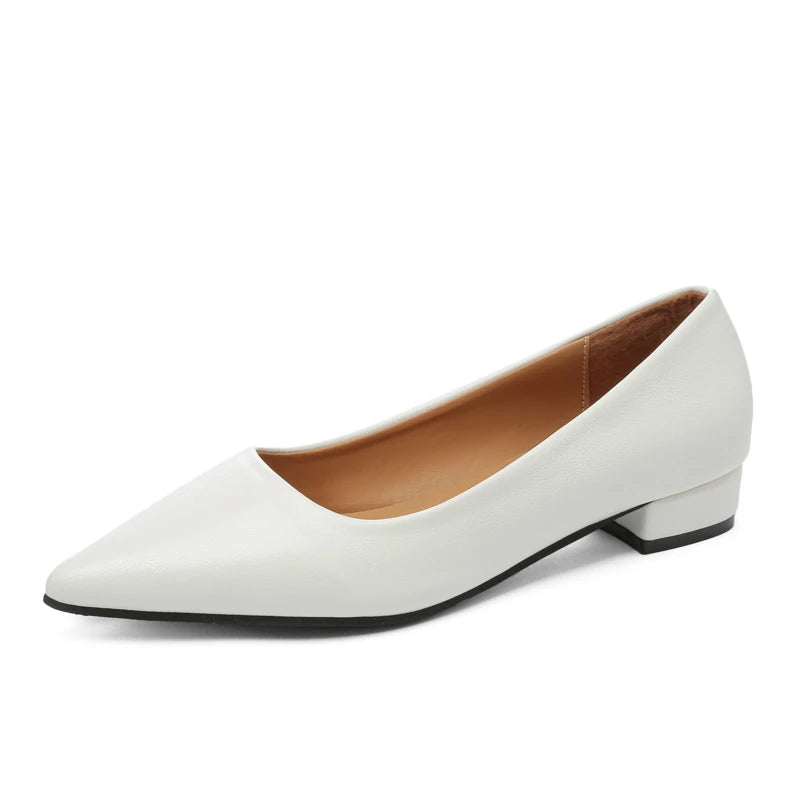 The Elegance Pointed Heels