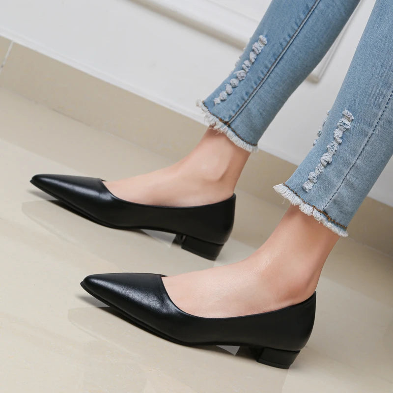 The Elegance Pointed Heels