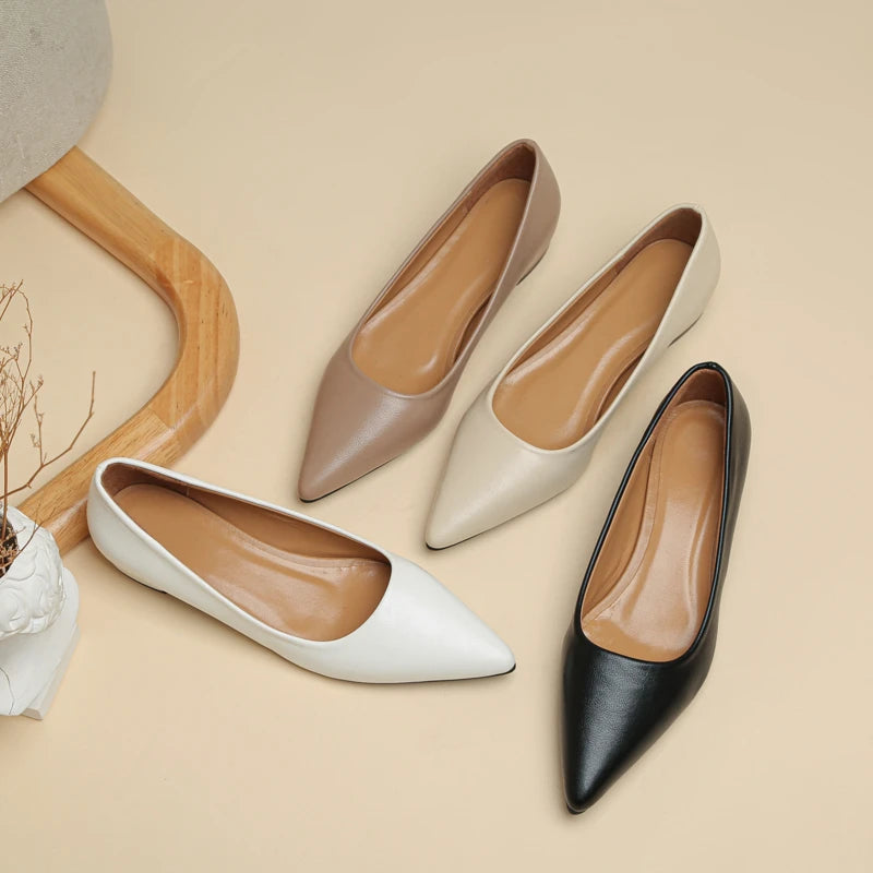 The Elegance Pointed Heels