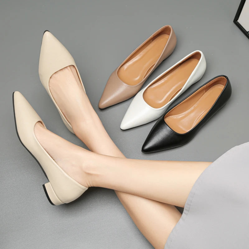 The Elegance Pointed Heels