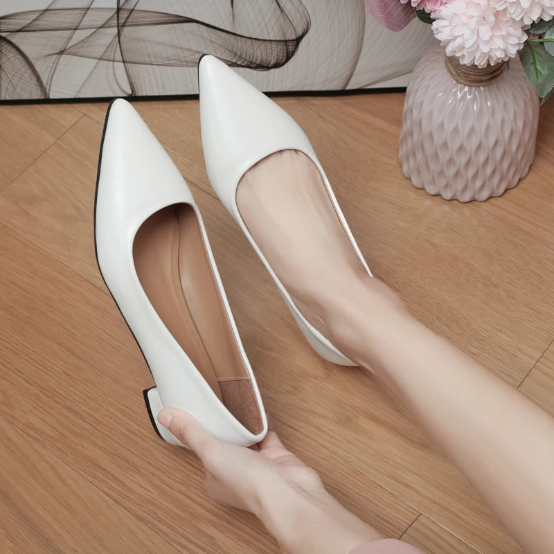 The Elegance Pointed Heels
