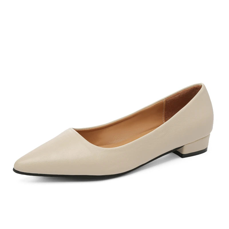 The Elegance Pointed Heels