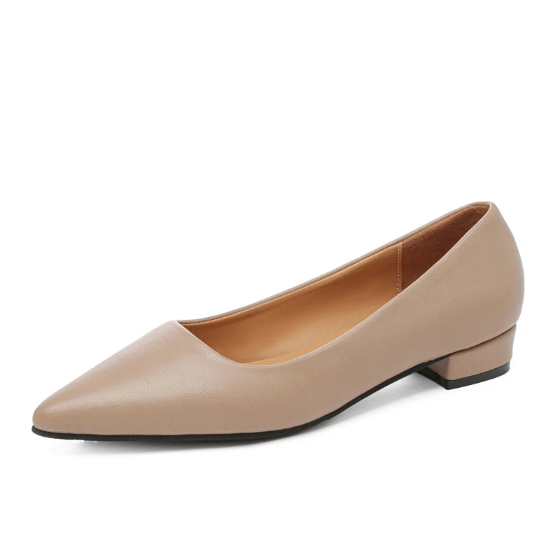 The Elegance Pointed Heels