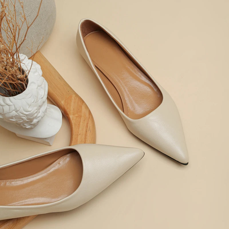 The Elegance Pointed Heels
